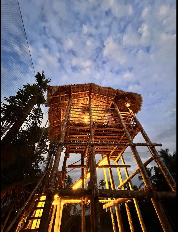 Casa Maria Mystica Apartments, Mananthavady, Wayanad エクステリア 写真