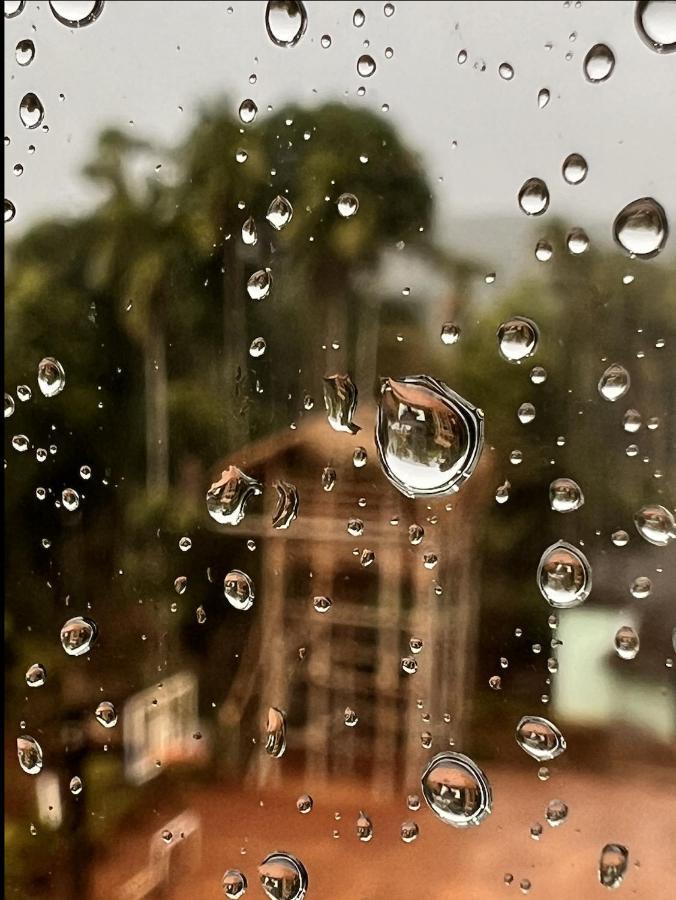 Casa Maria Mystica Apartments, Mananthavady, Wayanad エクステリア 写真